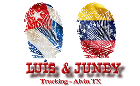 Log tipo Luis & Juney para empresa en Houston tx